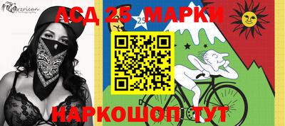 дмт Краснодар