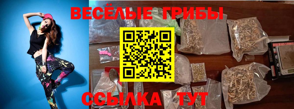 Галлюциногенные грибы мухоморы Калининград